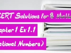 NCERT Solutions for 8 Maths Chapter 1 Ex 1.1 Rational Numbers