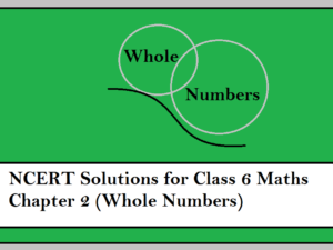 NCERT Solutions for Class 6 Maths Chapter 2 (Whole Numbers)